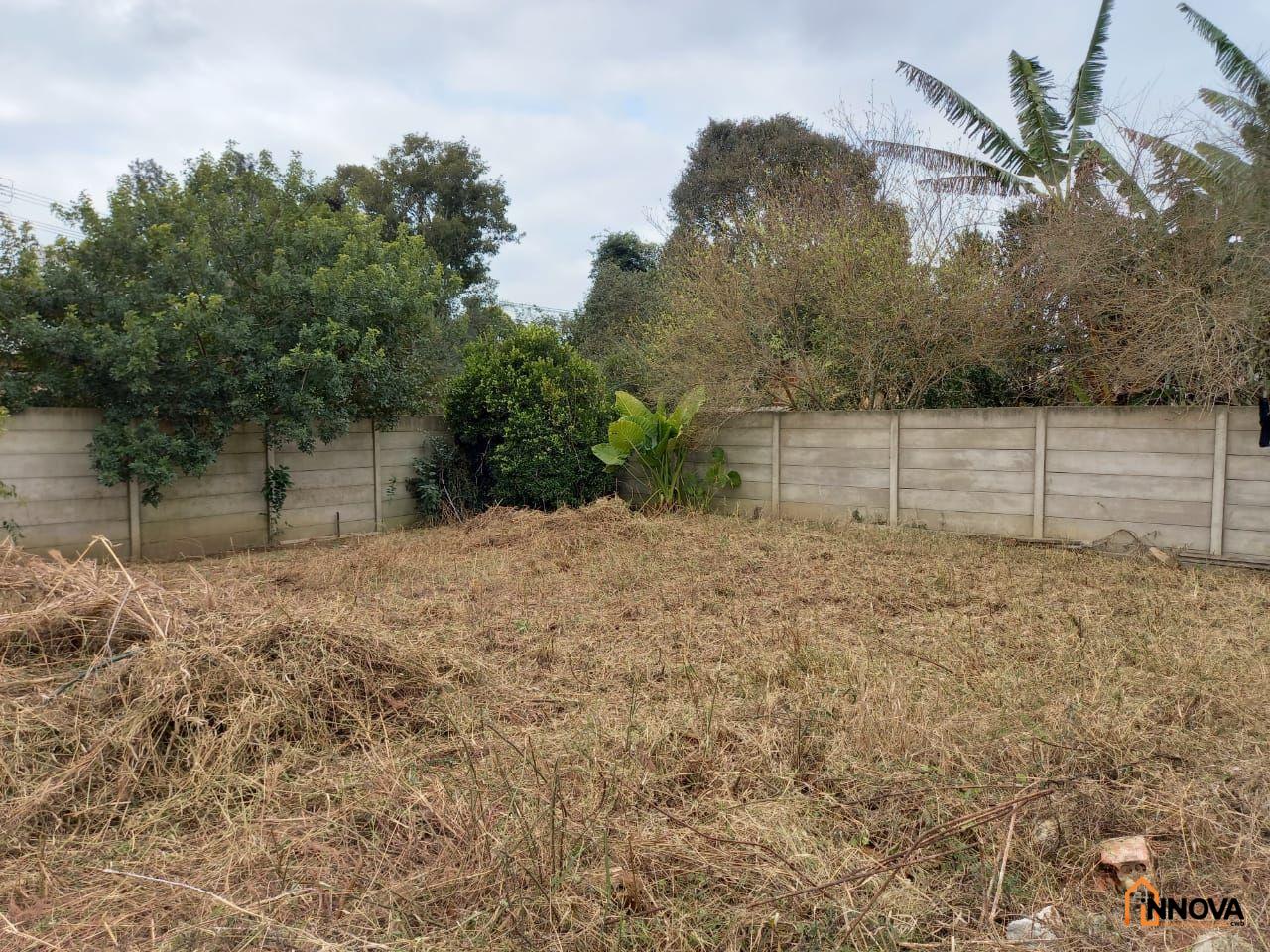 Terreno para venda - Atuba - Foto 7