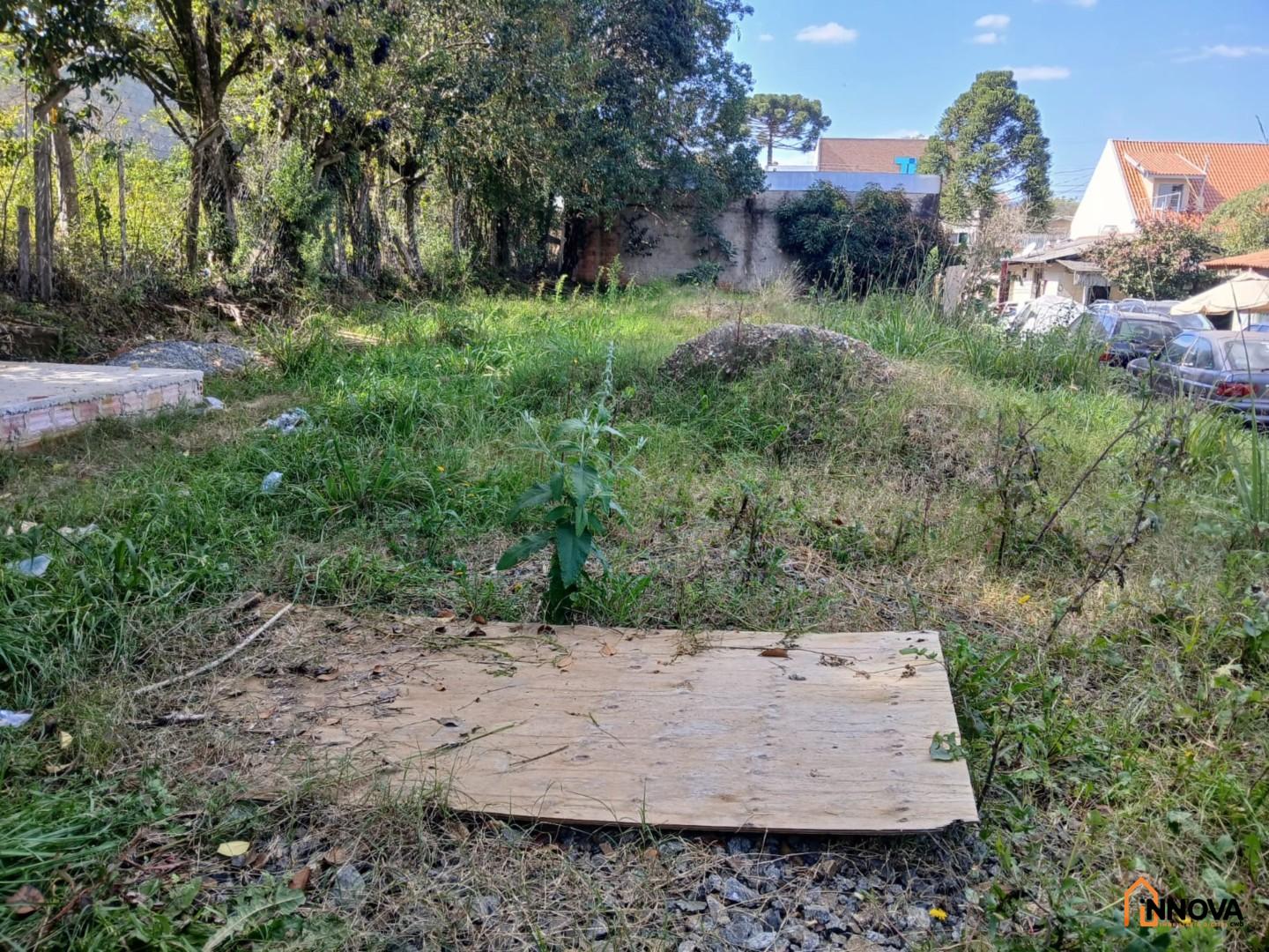 Terreno para locação - Mossunguê - Foto 2