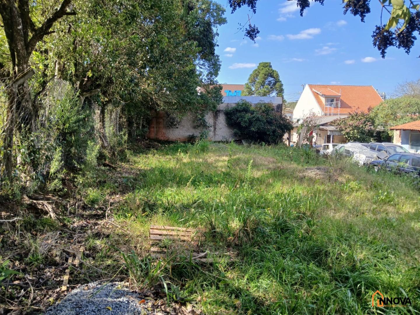 Terreno para locação - Mossunguê - Foto 5
