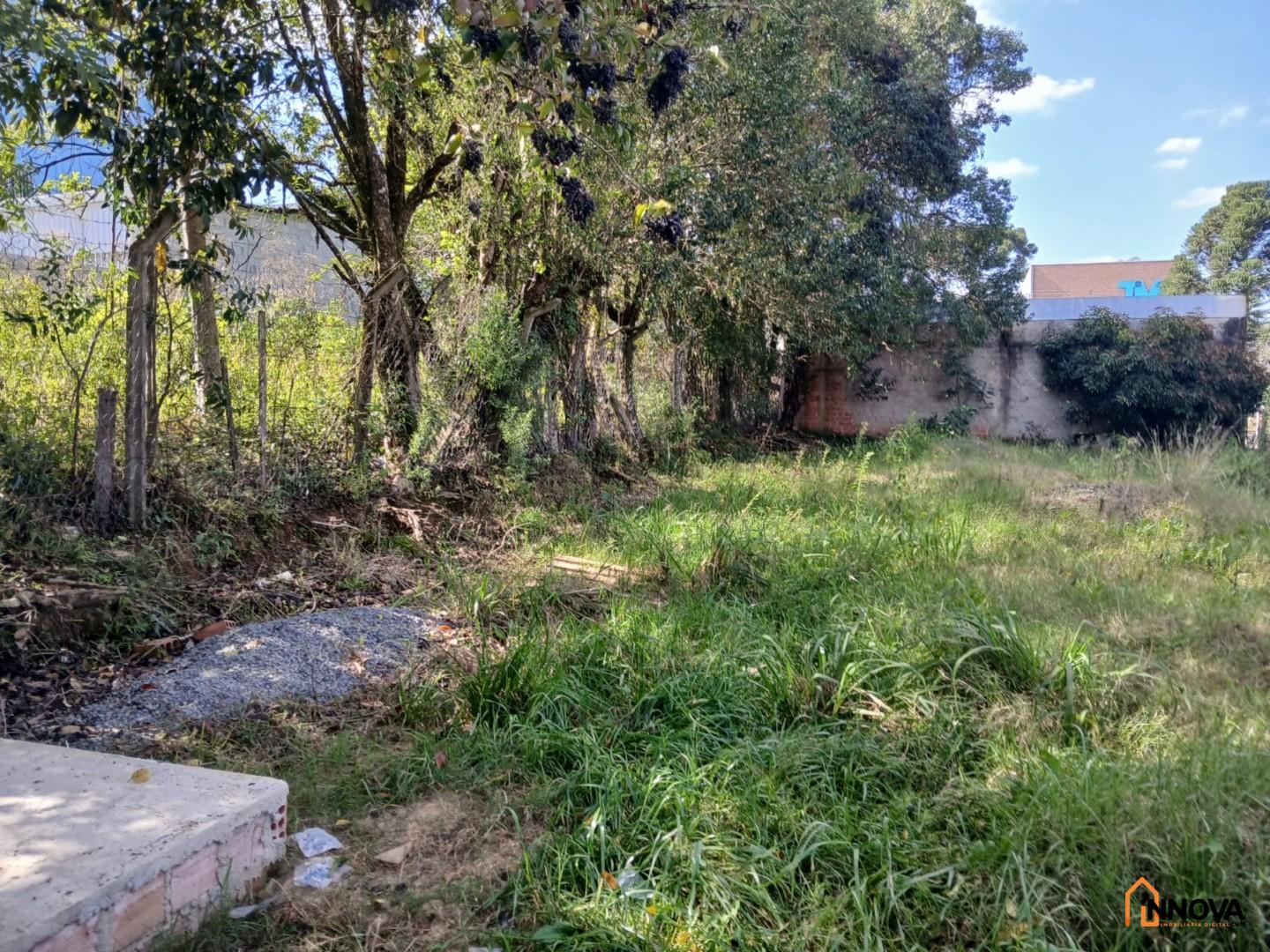 Terreno para locação - Mossunguê - Foto 8