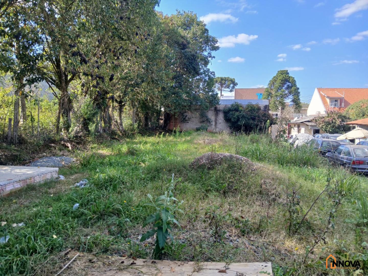Terreno para locação - Mossunguê - Foto 9