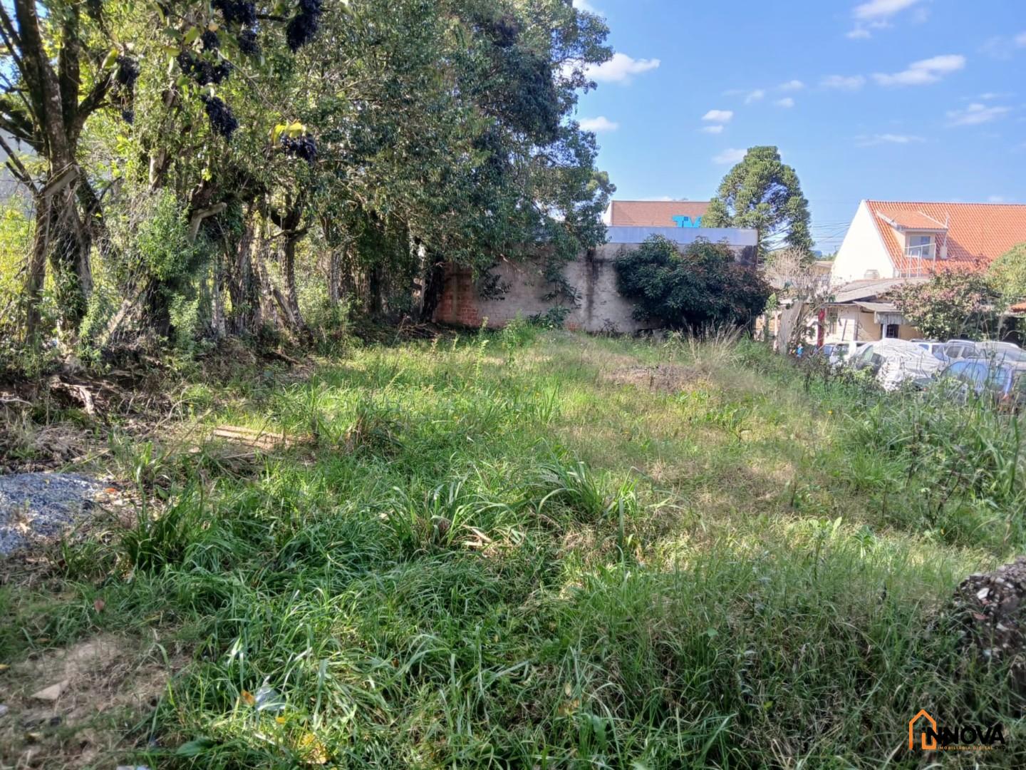 Terreno para locação - Mossunguê - Foto 10