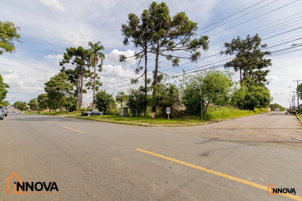 Terreno Comercial para Locação –  São José dos Pinhais - Foto 4
