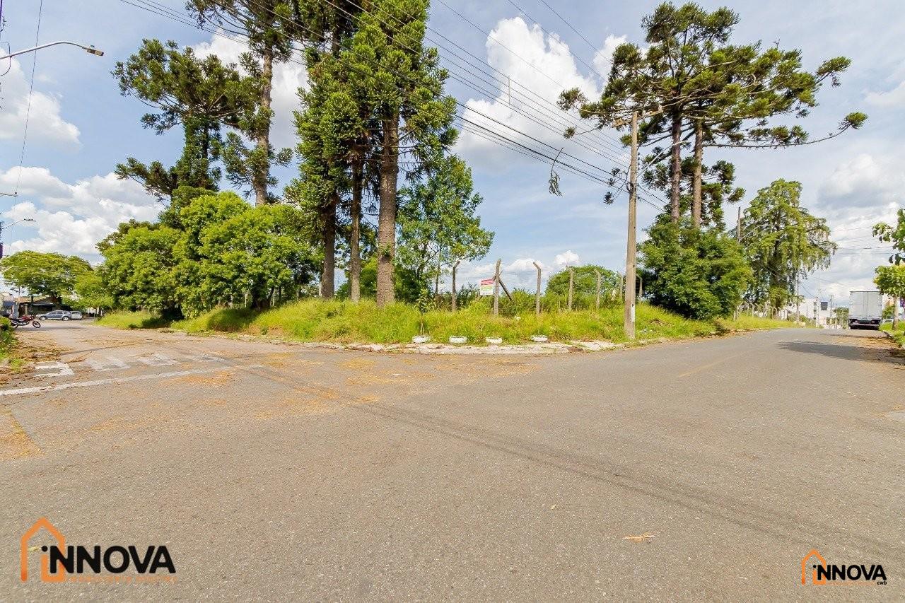 Terreno Comercial para Locação –  São José dos Pinhais - Foto 5