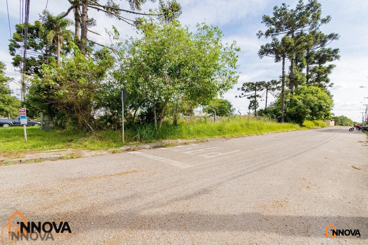 Terreno Comercial para Locação –  São José dos Pinhais - Foto 8
