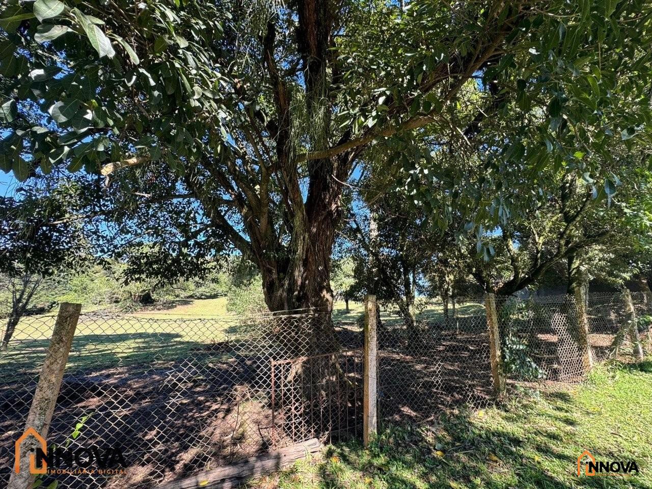Terreno para venda - Barreirinha - Foto 6