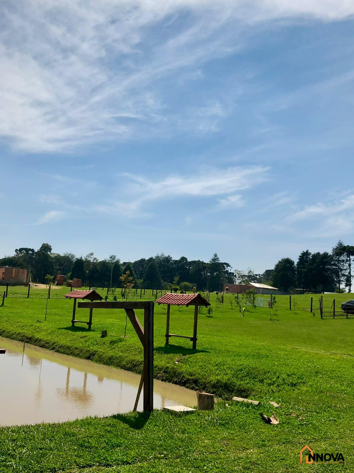 CHÁCARA NA COLÔNIA ZACARIAS PARA VENDA  – SÃO JOSÉ DOS PINHAIS - Foto 6