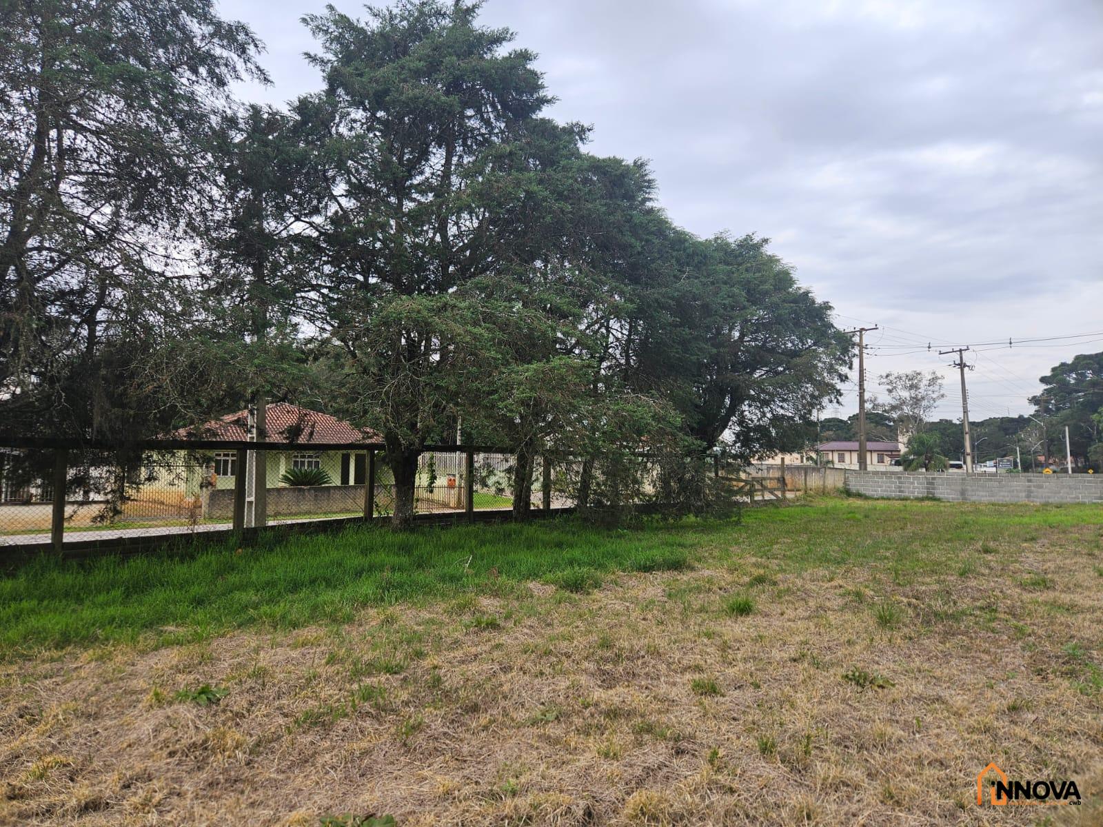 CHÁCARA NA COLÔNIA ZACARIAS PARA VENDA  – SÃO JOSÉ DOS PINHAIS - Foto 15
