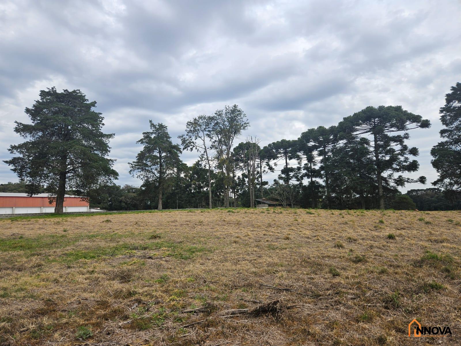 CHÁCARA NA COLÔNIA ZACARIAS PARA VENDA  – SÃO JOSÉ DOS PINHAIS - Foto 16