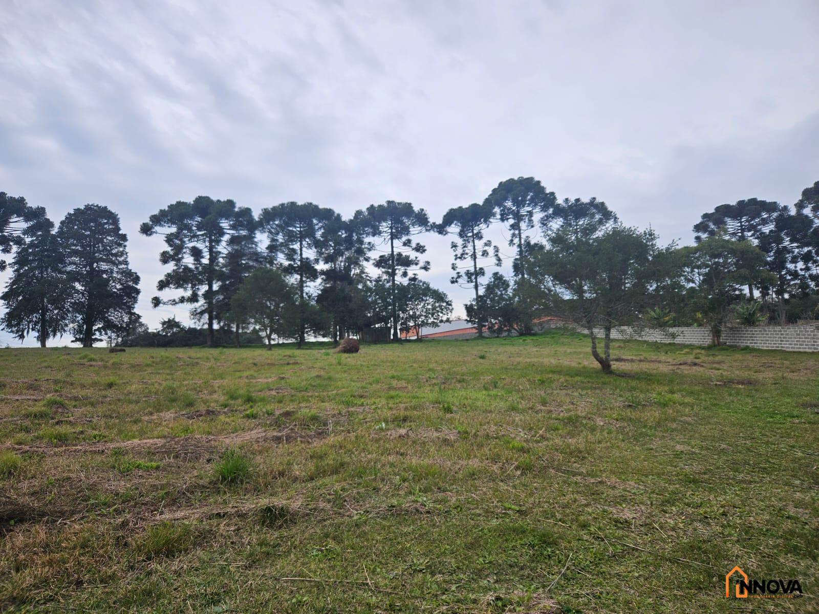 CHÁCARA NA COLÔNIA ZACARIAS PARA VENDA  – SÃO JOSÉ DOS PINHAIS - Foto 26